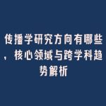 传播学研究方向有哪些，核心领域与跨学科趋势解析
