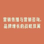 营销传播与营销咨询，品牌增长的战略双翼