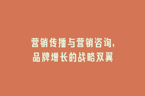 营销传播与营销咨询，品牌增长的战略双翼