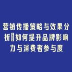 营销传播策略与效果分析：如何提升品牌影响力与消费者参与度