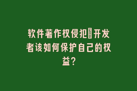 软件著作权侵犯：开发者该如何保护自己的权益？