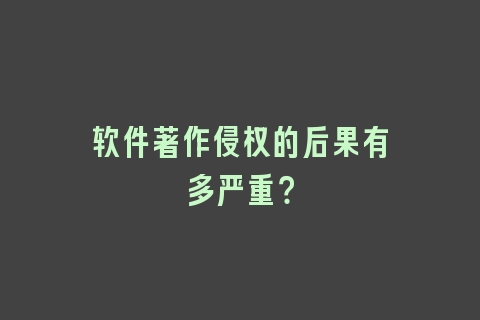 软件著作侵权的后果有多严重？