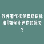 软件著作权侵权赔偿标准：如何计算你的损失？