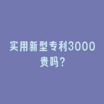 实用新型专利3000贵吗？