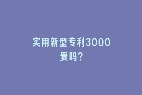 实用新型专利3000贵吗？