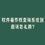 软件著作权查询系统到底该怎么用？