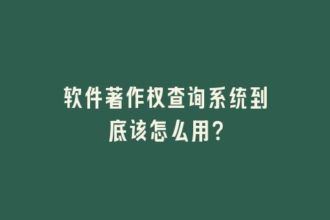 软件著作权查询系统到底该怎么用？
