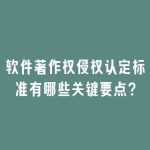 软件著作权侵权认定标准有哪些关键要点？